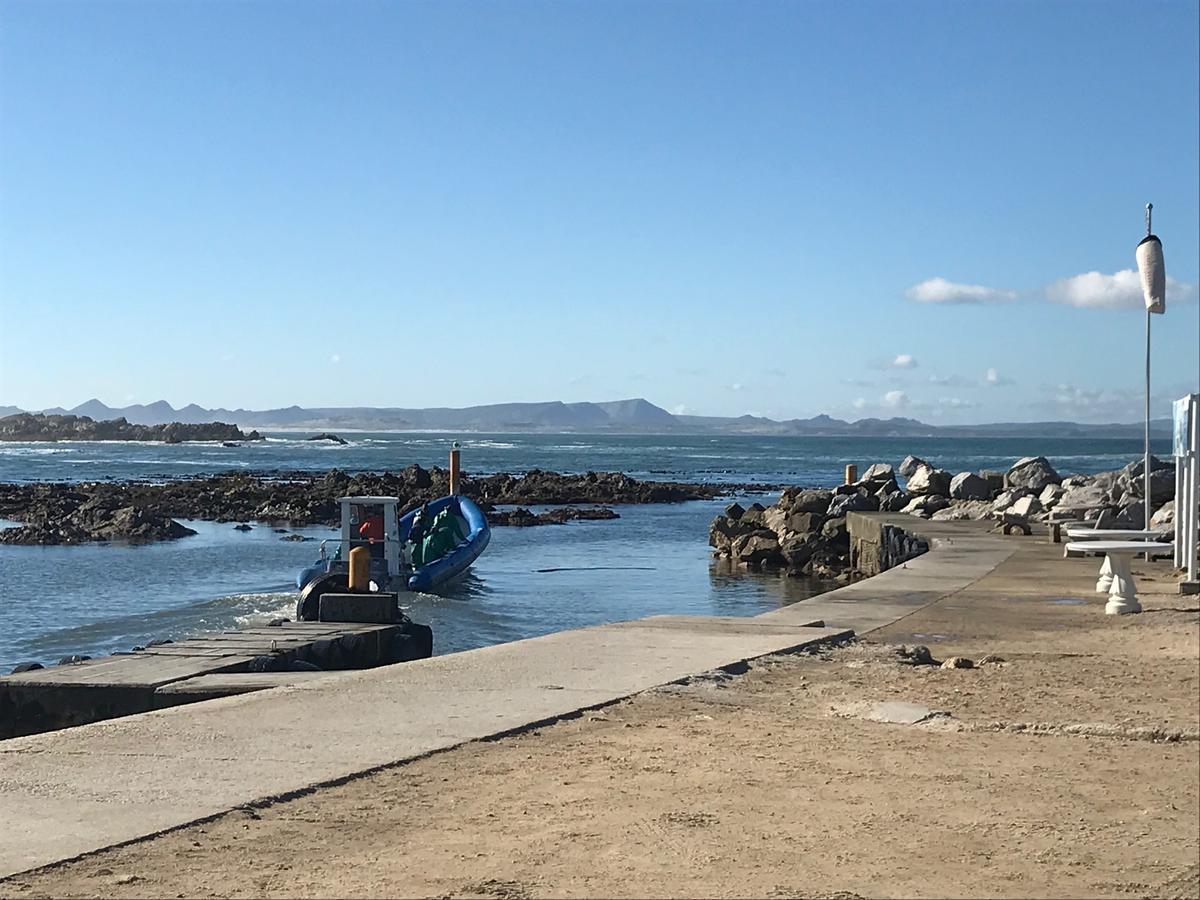 Fairview Accommodation Gansbaai Eksteriør bilde